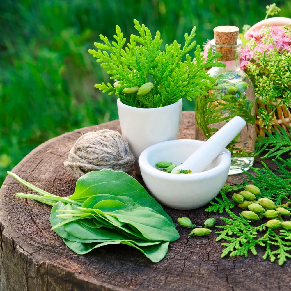 naturopathy